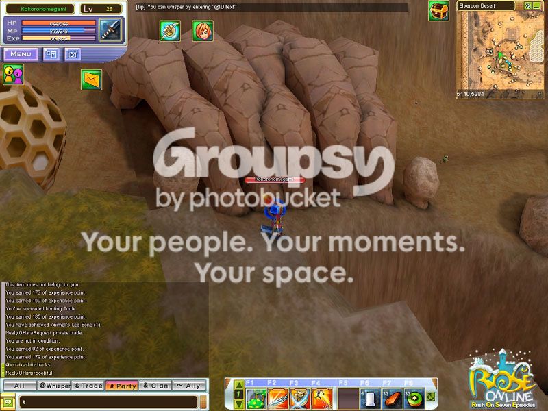 User Image